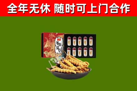 石嘴山回收冬虫夏草价格