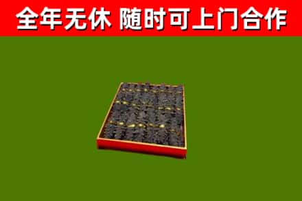 石嘴山回收海参